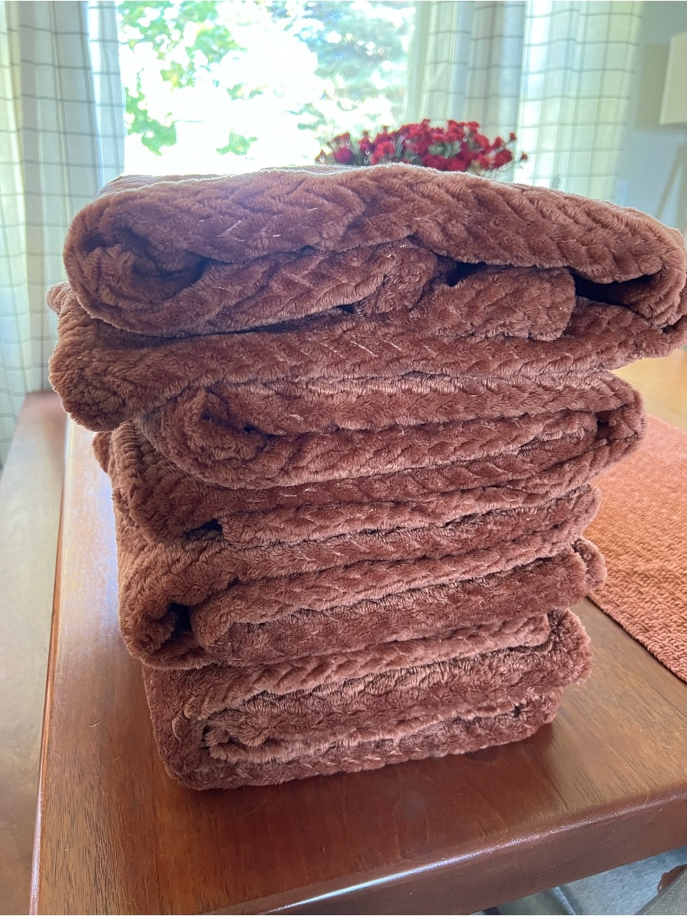 Set of 4 Plush Brown Home Blankets - Soft Cozy Throw